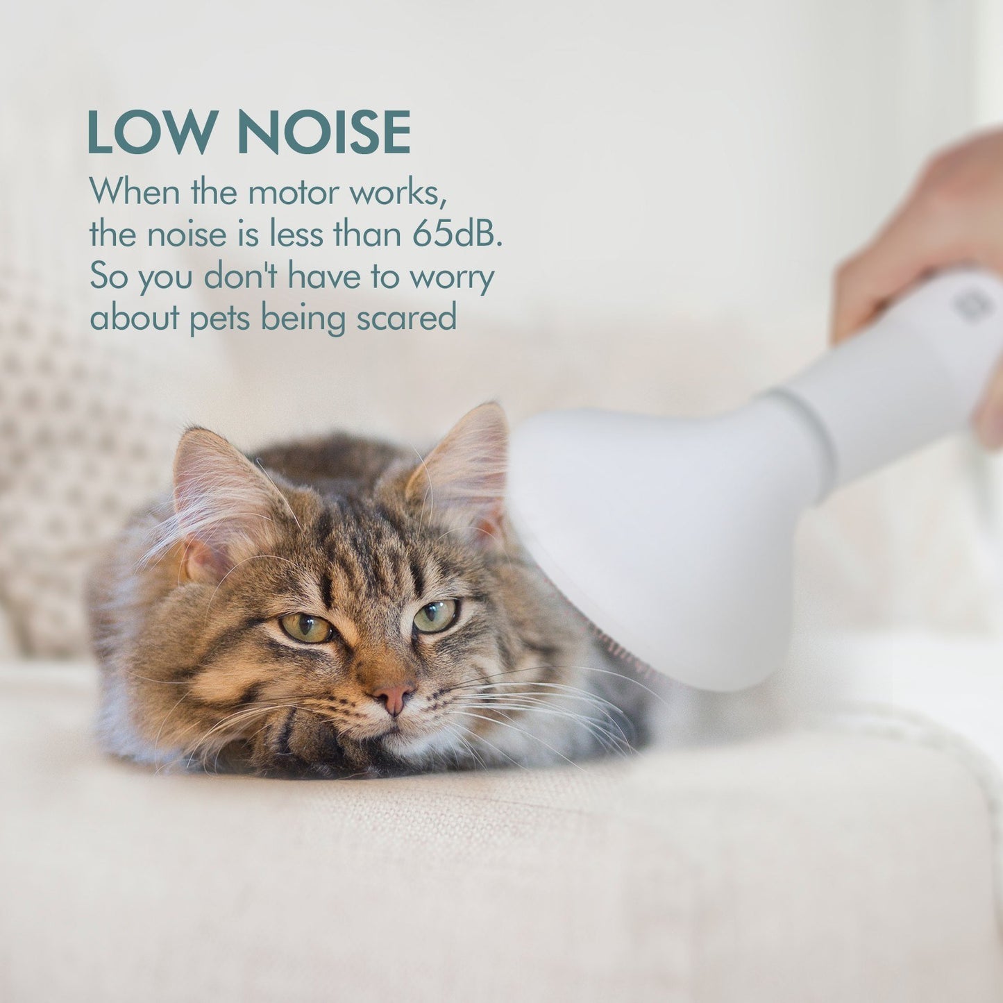 Secador de pelo para perros Dadypet, cepillo pulidor para el cuidado del cabello